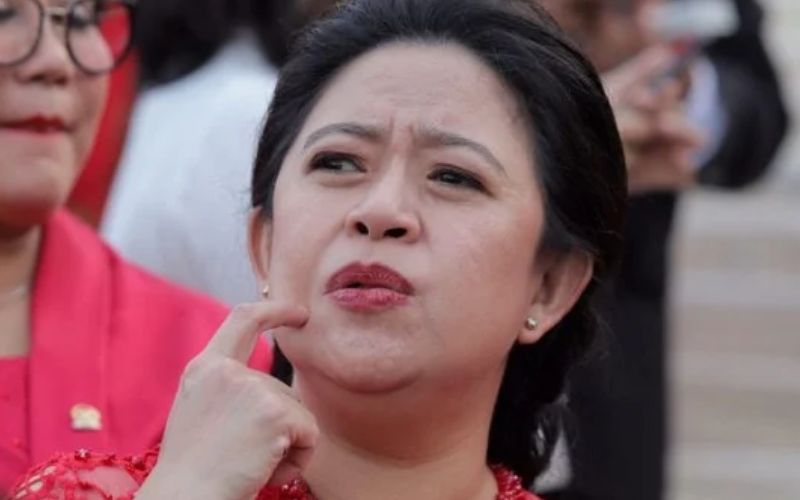 Ketua DPR RI Puan Maharani