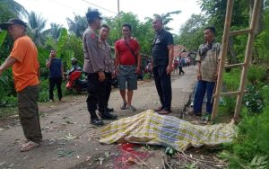 Seorang Kakek di Purwakarta Tewas Terjatuh dari Pohon Mahoni