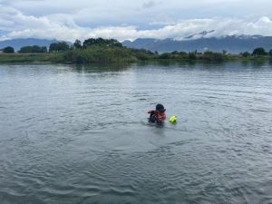 Wisata ke Pasir Putih, Warga Pematangsiantar Tenggelam di Danau Toba