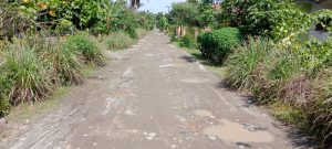 Jalan di Desa Sei Rejo Rusak Parah, Siapa Yang Harus Tanggung Jawab?