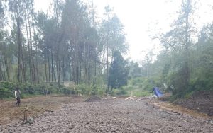 Lumbung Padi Terancam, DPR RI Soroti Penyusutan Lahan Pertanian dan Hutan di Karawang