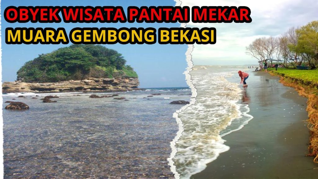 Melihat Keindahan Pantai Mekar di Muara Gembong Bekasi