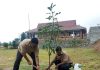 HMPI 2022, SMPN 2 Sukasari tanam Puluhan Pohon di Purwakarta