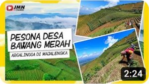 Melihat Pesona Desa ‘Bawang Merah’ Argalingga di Majalengka