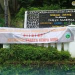 Jalur pendakian Gunung Gede Pangrango ditutup sementara