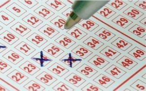 Faktor Ekonomi, IRT Asal Tanjungbalai Nekat Jadi Jurtul Togel