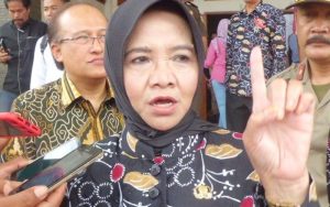 Ade Uu Sukaesih Serukan Warga Kota Banjar Boikot Produk Israel
