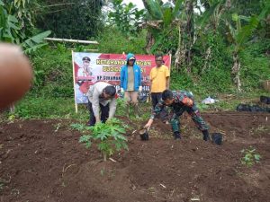 Warga Kecamatan Cilaku Cianjur Mulai Manfaatkan Anggaran Dana Desa