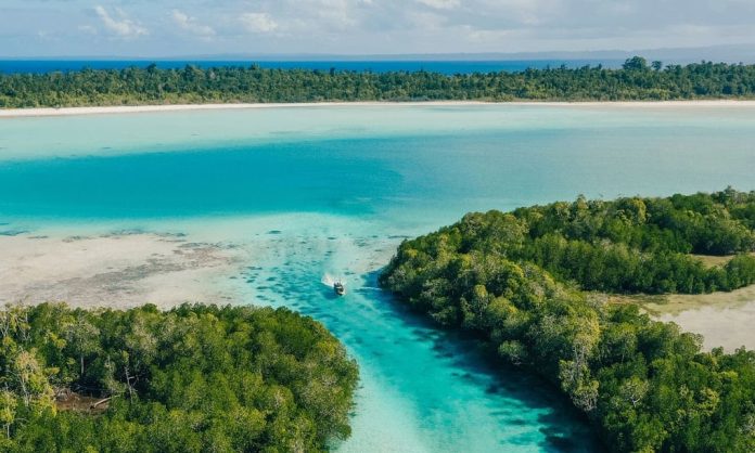 Kawasan pulau di Cagar Alam Widi