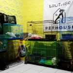 Pethouse