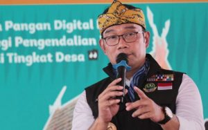 Kenaikan Komoditas Pangan di 3 Daerah di Jawa Barat Ini Dinilai Ridwan Kamil Tidak Wajar