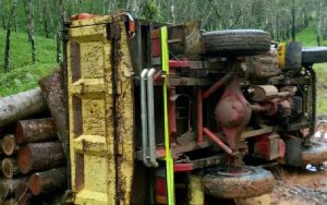Overload, Truk Muatan Kayu Terguling di Cikadu Cianjur