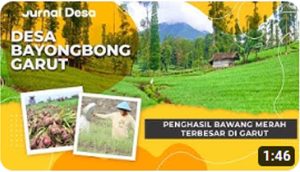 Agro Wisata di Kecamatan Panembong, Penghasil Bawang Merah Terbesar Di Garut