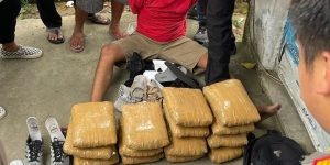 Dibungkus Kardus Popok Bayi, Ganja Seberat 30 Kg Hendak Dikirim ke Bandung