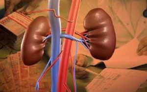 Kominfo Blokir Tiga Situs Jual Beli Organ, Yandex Bagaimana?