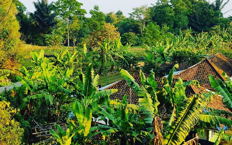 Kampung Tajur