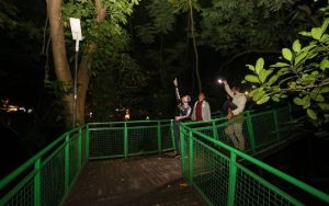Anggaran PJU dan PJL di Kota Bandung Capai Rp63 Miliar