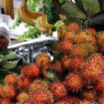 Rambutan Si Batuwalang