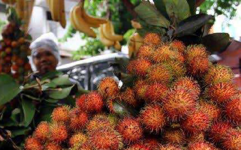 Manfaat dan Efek Samping Rambutan yang Perlu Diketahui