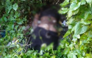 Bocah Perempuan Asal Deli Serdang Ditemukan Tewas Membusuk Dekat Rumahnya