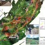 Grafis pemeriksaan gerakan tanah yang dilakukan PVMBG di wilayah Purwakarta.
