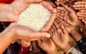Stok Pangan Nasional Dipastikan Aman Jelang Idul Adha