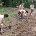 Petani Milenial