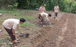 Wujudkan Petani Milenial, Pelajar di Ujung Purwakarta Ini Diajak Bercocok Tanam