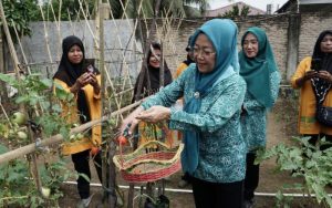Jelang Ramadhan, Petani Tebing Tinggi Gelar Tanaman Cepat Panen Guna Pengendalian Inflasi