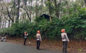 Lembang Diguyur Hujan, Tim SAR Gerak Cepat Antisipasi Korban Jiwa Akibat Pohon Tumbang