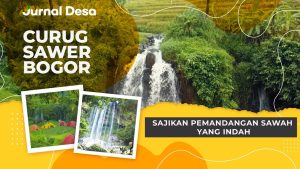 Curug Sawer Bogor, Sajikan Pemandangan Sawah yang Indah
