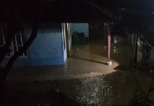 Bencana Alam di Cianjur