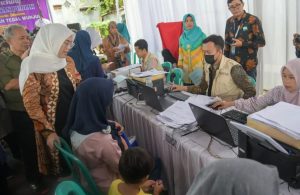 Bupati Purwakarta, Anne Ratna Mustika-