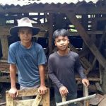 Maling Domba