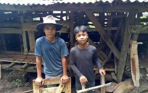 Duh! Domba Milik Warga di Purwakarta Digondol Maling