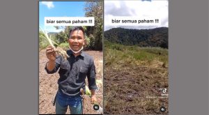 Pengakuan Komunitas Motor Trail Soal Kerusakan Bunga Adelweis di Ranca Upas Bandung