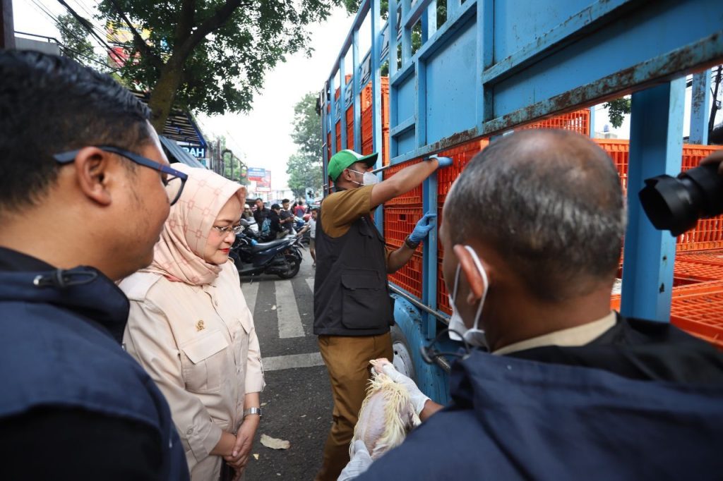 Anggota Dewan Ikut Monitoring Kesehatan Ternak dari Luar Kota Bandung