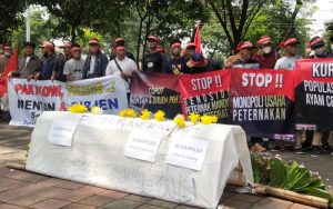 Ratusan Peternak Ayam Geruduk Komnas HAM, Ini Tuntutannya