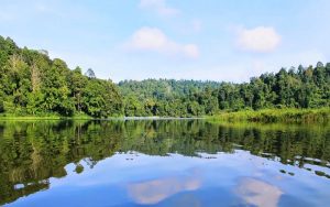 Ini Penyebab Satwa Liar di Situ Gunung Sukabumi Tidak Terlihat saat Libur Lebaran