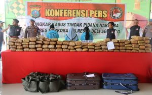 Bandar Ganja Kabur, Ibu Kandung dan Istri Siri di Deli Serdang Jadi Tersangka
