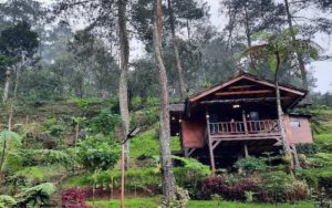 Desa Wisata di Kabupaten Bogor Terus Diperbanyak, Targetnya Fantastis!
