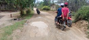 Warga Menduga Jalan Dusun 3, Desa Cempedak Lobang Tidak Diperbaiki Akibat Tidak Mendukung Kades Terpilih