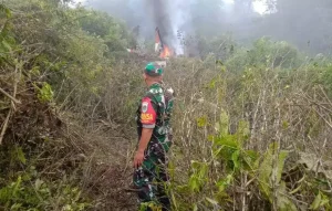 Aparat TNI berjaga di sekitar jatuhnya helikopter di kawasan perkembunan teh Ciwidey Bandung