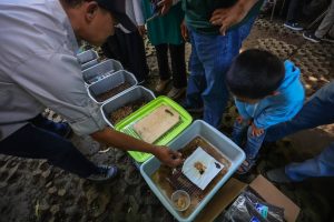 7 Metode Komposter Olah Sampah Organik di Rumah, Yuk Lakukan