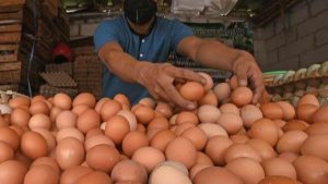 Pasokan di Distributor Membaik, Harga Telur di Kota Bandung Berangsur Normal