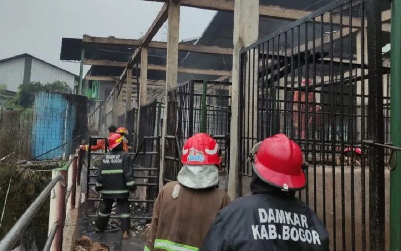 Kandang Kuda
