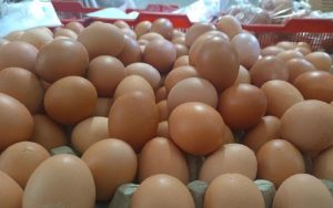 Ini Alasan Harga Telur di Kota Bandung Melambung Tinggi, Ternyata…