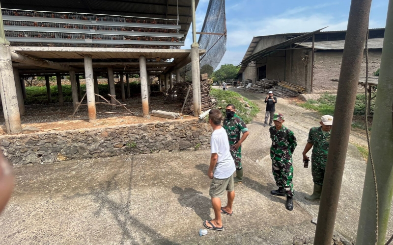 Satgas Citarum Harum Sidak Peternakan Ayam di Mande Cianjur, Ada Apa?