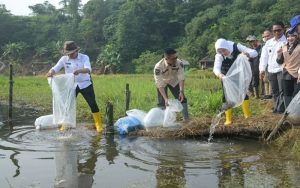 Tebar Benih Ikan Nila di Desa Mekarsari, Ini Tujuan Bupati Anne Ratna Mustika