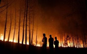 Damkar Purwakarta Sebut Potensi Kebakaran Hutan di Kemarau Mengingkat, Jumlah Kasusnya Segini